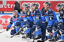 Eishockey, Herren, DEL, Saison 2023-2024, Spieltag 21, ERC Ingolstadt - Iserlohn Roosters, 23.11.2023