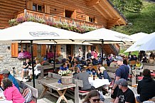 Eishockey, Herren, DEL, Saison 2023-2024, Vinschgau Cup, ERC Ingolstadt – Audi Almerlebnis, 26.08.2023