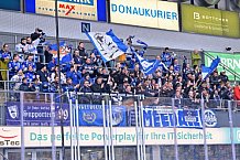 Eishockey, Herren, DEL, Saison 2022-2023, Spieltag 33, ERC Ingolstadt - Schwenninger Wild Wings, 21.12.2022
