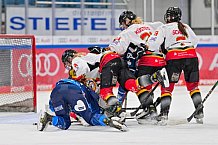 Eishockey, Frauen, DFEL, Saison 2024-2025, ERC Ingolstadt - EC Bergkamener Bären, 05.01.2025