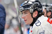 Eishockey, Herren, DEL, Saison 2024-2025, Vorbereitung, ERC Ingolstadt - Dresdner Eislöwen, 18.08.2024