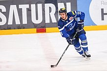 ERC Ingolstadt vs Thomas Sabo Ice Tigers, Eishockey, DEL, Deutsche Eishockey Liga, Spieltag 34,  03.01.2017