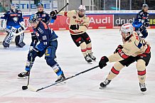 Eishockey, Herren, DEL, Saison 2024-2025, Playoffs Viertelfinale, Spiel 1, ERC Ingolstadt - Nürnberg Ice Tigers, 16.03.2025