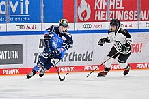 Eishockey, Frauen, DFEL, Saison 2023-2024, ERC Ingolstadt - Amsterdam Tigers, 06.01.2024