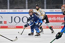 Eishockey, Frauen, DFEL, Saison 2024-2025, ERC Ingolstadt - Mad Dogs Mannheim, 23.11.2024