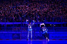 Eishockey, Herren, DEL, Saison 2024-2025, Spieltag 35, ERC Ingolstadt - Augsburger Panther, 10.01.2025