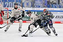 Eishockey, Herren, DEL, Saison 2023-2024, Spieltag 36, ERC Ingolstadt - Kölner Haie, 07.01.2024