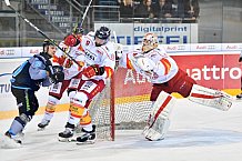 ERC Ingolstadt vs Duesseldorfer EG, Eishockey, DEL, Deutsche Eishockey Liga, Spieltag 50, 21.02.2017