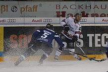ERC Ingolstadt - Koelner Haie, Eishockey, DEL, Deutsche Eishockey Liga, Spieltag 22, 25.11.2016, Foto: st-foto.de / Oliver STRISCH