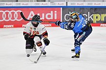 Eishockey, Frauen, DFEL, Saison 2023-2024, ERC Ingolstadt - EC Bergkamener Bären, 28.10.2023