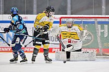 Eishockey, Frauen, DFEL, Halbfinale, Saison 2022-2023, ERC Ingolstadt - Mad Dogs Mannheim, 25.02.2023