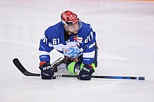 Eishockey, Herren, DEL, Saison 2020-2021, ERC Ingolstadt - Nürnberg Ice Tigers, 28.01.2021