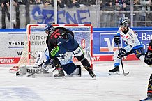Eishockey, Herren, DEL, Saison 2024-2025, Spieltag 39, Straubing Tigers - ERC Ingolstadt, 24.01.2025
