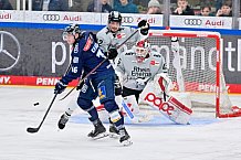 Eishockey, Herren, DEL, Saison 2024-2025, Playoffs Halbfinale, Spiel 1, ERC Ingolstadt - Kölner Haie, 02.04.2025