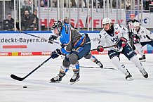 Eishockey, Herren, DEL, Saison 2023-2024, Spieltag 38, ERC Ingolstadt - Adler Mannheim, 14.01.2024