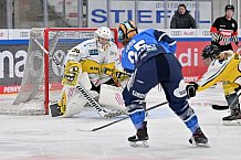 Eishockey, Frauen, DFEL, Saison 2023-2024, ERC Ingolstadt - Mad Dogs Mannheim, 18.02.2024