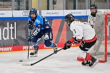Eishockey, Frauen, DFEL, Saison 2025-2026, ERC Ingolstadt - HK Budapest, 15.11.2025
