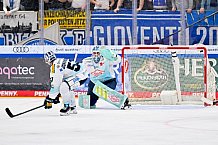 Eishockey, Herren, DEL, Saison 2025-2026, Spiel 23, ERC Ingolstadt - Dresdner Eislöwen, 28.11.2025