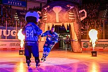 Eishockey, Herren, DEL, Saison 2026-2027, Spieltag 8, ERC Ingolstadt - Löwen Frankfurt, 11.10.2026