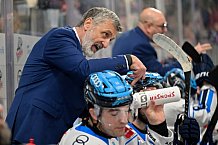 Eishockey, Herren, DEL, Saison 2025-2026, Spiel 39, Nürnberg Ice Tigers - ERC Ingolstadt, 11.01.2026