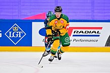 Hockey, Mens, CHL, Season 2025-2026, Regular Season, Game Day 1, ERC Ingolstadt - Ilves Tampere, 28.08.2025