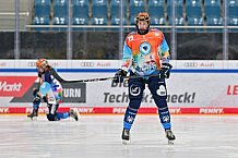 Eishockey, Frauen, DFEL, Saison 2024-2025, ERC Ingolstadt - EC Bergkamener Bären, 04.01.2025