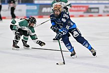Eishockey, Frauen, European Womens Hockey League, Saison 2024-2025, ERC Ingolstadt - Lakers Kärnten, 13.09.2024