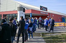 Eishockey, Herren, DEL, Saison 2024-2025, Playoffs Halbfinale, Spiel 5, ERC Ingolstadt - Kölner Haie, 11.04.2025