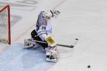 ERC Ingolstadt vs Koelner Haie am 20.01.2019, Spieltag 41