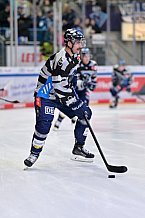 Eishockey, Herren, DEL, Saison 2024-2025, Spieltag 17, ERC Ingolstadt - Adler Mannheim, 17.11.2024