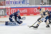 Eishockey, Herren, DEL, Saison 2024-2025, Spieltag 52, ERC Ingolstadt - Schwenninger Wild Wings, 07.03.2025