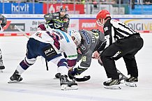 Eishockey, Herren, DEL, Saison 2023-2024, Spieltag 33, ERC Ingolstadt - Eisbären Berlin, 30.12.2023