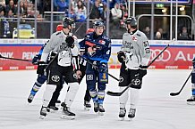 Eishockey, Herren, DEL, Saison 2024-2025, Spieltag 36, ERC Ingolstadt - Kölner Haie, 12.01.2025