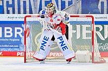 Eishockey, Herren, DEL, Saison 2025-2026, Spiel 35, ERC Ingolstadt - Pinguins Bremerhaven, 02.01.2026