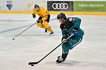 Eishockey, Herren, DEL, Saison 2026-2027, ERC Ingolstadt - HC Verva Litvinov - Steinbach Black Wings Linz, 22.08.2026