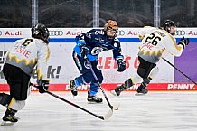 Eishockey, Frauen, DFEL, Saison 2024-2025, ERC Ingolstadt - Mad Dogs Mannheim, 23.11.2024