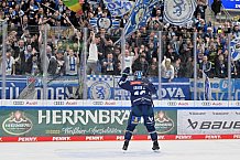 Eishockey, Herren, DEL, Saison 2024-2025, Spieltag 22, ERC Ingolstadt - Düsseldorfer EG, 01.12.2024