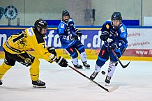 Eishockey, Herren, U20 DNL, Saison 2025-2026, Halbfinale - Spiel 5, ERC Ingolstadt - Krefelder EV 81, 24.03.2026