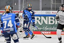 Eishockey, Frauen, DFEL, Saison 2023-2024, ERC Ingolstadt - Amsterdam Tigers, 06.01.2024