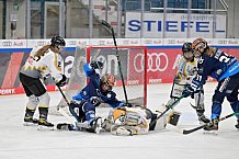 Eishockey, Frauen, DFEL, Saison 2024-2025, ERC Ingolstadt - Mad Dogs Mannheim, 23.11.2024