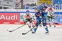 Eishockey, Herren, DEL, Saison 2024-2025, Spieltag 35, ERC Ingolstadt - Augsburger Panther, 10.01.2025