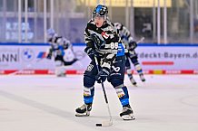 Eishockey, Herren, DEL, Saison 2024-2025, Spieltag 2, ERC Ingolstadt - Straubing Tigers, 22.09.2024