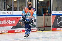 Eishockey, Frauen, DFEL, Saison 2024-2025, ERC Ingolstadt - EC Bergkamener Bären, 12.10.2024