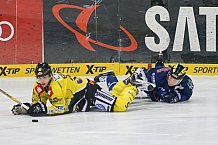 ERC Ingolstadt - Krefeld Pinguine, Eishockey, DEL, Deutsche Eishockey Liga, Spieltag 34, 05.01.2016, Foto: st-foto.de / Oliver STRISCH