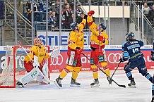 Eishockey, Herren, DEL, Saison 2022-2023, Spieltag 42, ERC Ingolstadt - Düsseldorfer EG, 13.01.2023