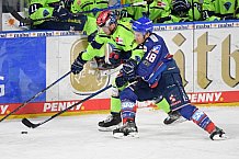 Eishockey, Herren, DEL, Saison 2020-2021, Adler Mannheim - ERC Ingolstadt, 15.02.2021