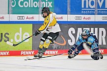 Eishockey, Frauen, DFEL, Halbfinale, Saison 2022-2023, ERC Ingolstadt - Mad Dogs Mannheim, 25.02.2023