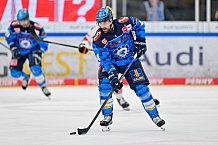 Eishockey, Herren, DEL, Saison 2025-2026, Spiel 37, ERC Ingolstadt - Löwen Frankfurt, 06.01.2026