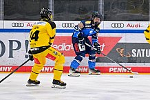 Eishockey, U20, DNL, Saison 2024-2025, ERC Ingolstadt - Krefelder EV 81, 01.03.2025