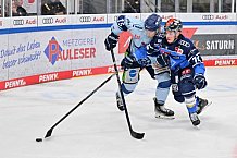 Eishockey, Herren, DEL, Saison 2023-2024, Spieltag 23, ERC Ingolstadt - Straubing Tigers, 01.12.2023